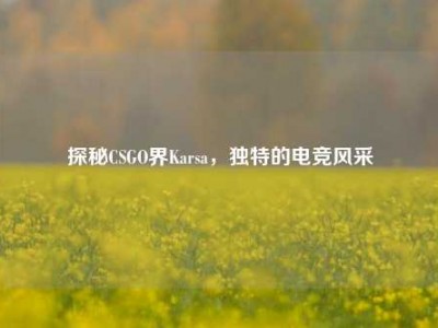 探秘CSGO界Karsa，独特的电竞风采
