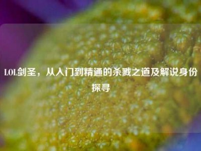 LOL剑圣，从入门到精通的杀戮之道及解说身份探寻