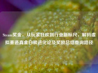 Steam奖金，从玩家狂欢到行业新标尺，解码虚拟赛道真金白银进化论及奖励总结查询路径