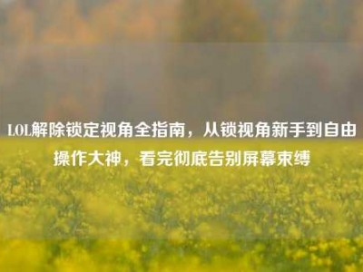 LOL解除锁定视角全指南，从锁视角新手到自由操作大神，看完彻底告别屏幕束缚