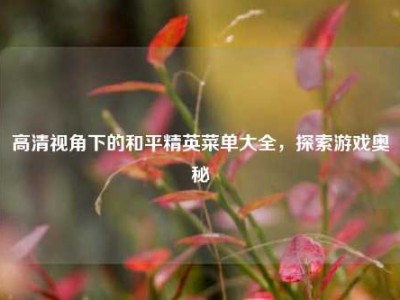 高清视角下的和平精英菜单大全，探索游戏奥秘