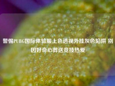 警惕PUBG国际体验服上色透视外挂灰色陷阱 别因好奇心葬送竞技热爱
