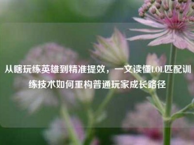 从瞎玩练英雄到精准提效，一文读懂LOL匹配训练技术如何重构普通玩家成长路径