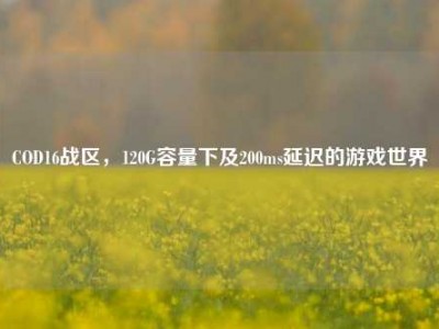 COD16战区，120G容量下及200ms延迟的游戏世界