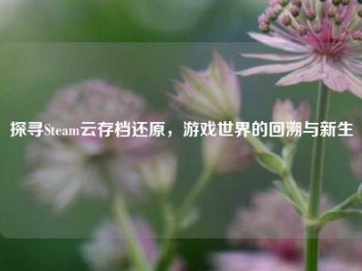 探寻Steam云存档还原，游戏世界的回溯与新生