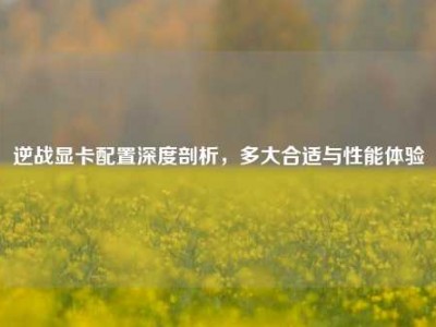 逆战显卡配置深度剖析，多大合适与性能体验