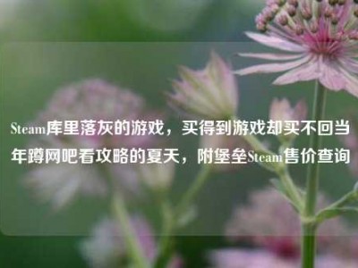 Steam库里落灰的游戏，买得到游戏却买不回当年蹲网吧看攻略的夏天，附堡垒Steam售价查询