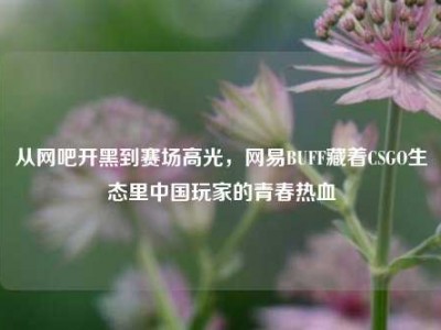 从网吧开黑到赛场高光，网易BUFF藏着CSGO生态里中国玩家的青春热血