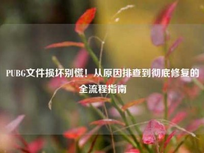 PUBG文件损坏别慌！从原因排查到彻底修复的全流程指南