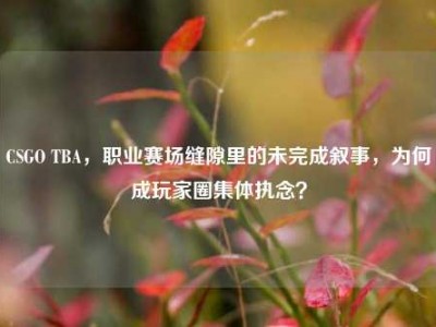 CSGO TBA，职业赛场缝隙里的未完成叙事，为何成玩家圈集体执念？