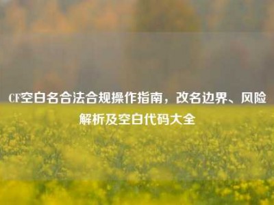 CF空白名合法合规操作指南，改名边界、风险解析及空白代码大全