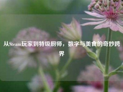 从Steam玩家到特级厨师，数字与美食的奇妙跨界