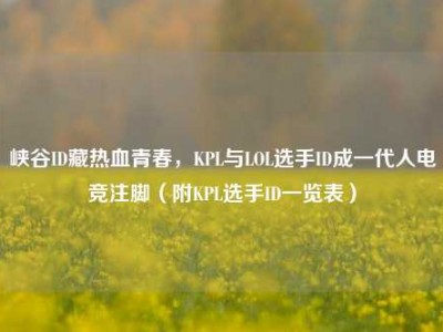 峡谷ID藏热血青春，KPL与LOL选手ID成一代人电竞注脚（附KPL选手ID一览表）