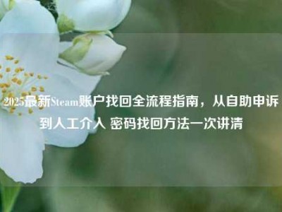2025最新Steam账户找回全流程指南，从自助申诉到人工介入 密码找回方法一次讲清