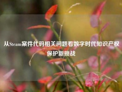 从Steam案件代码相关问题看数字时代知识产权保护新挑战