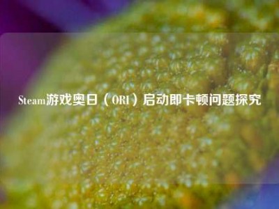 Steam游戏奥日（ORI）启动即卡顿问题探究