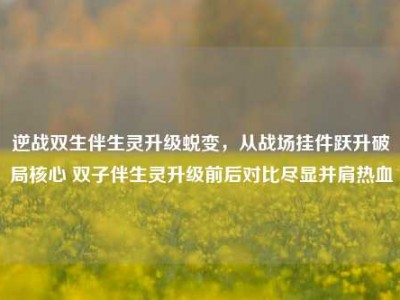 逆战双生伴生灵升级蜕变，从战场挂件跃升破局核心 双子伴生灵升级前后对比尽显并肩热血