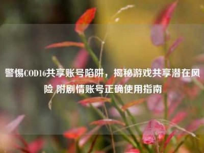 警惕COD16共享账号陷阱，揭秘游戏共享潜在风险 附剧情账号正确使用指南