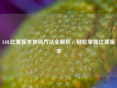 LOL比赛版本查询方法全解析，轻松掌握比赛版本
