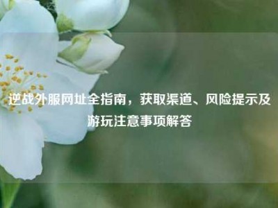 逆战外服网址全指南，获取渠道、风险提示及游玩注意事项解答