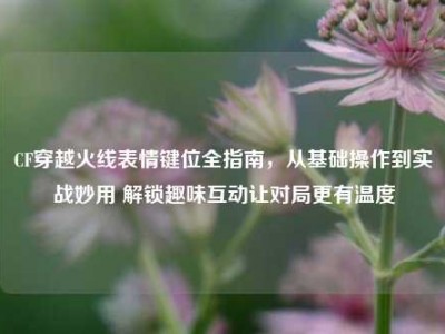 CF穿越火线表情键位全指南，从基础操作到实战妙用 解锁趣味互动让对局更有温度