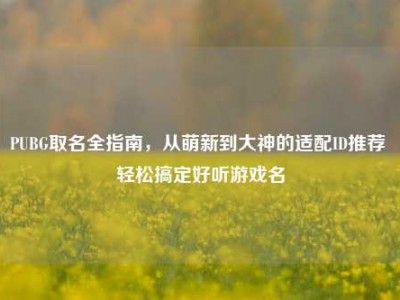 PUBG取名全指南，从萌新到大神的适配ID推荐 轻松搞定好听游戏名