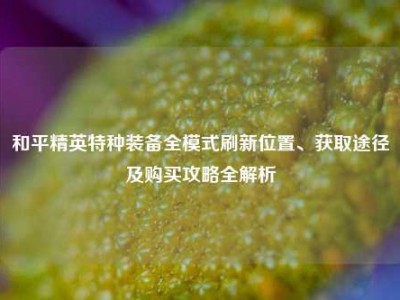 和平精英特种装备全模式刷新位置、获取途径及购买攻略全解析