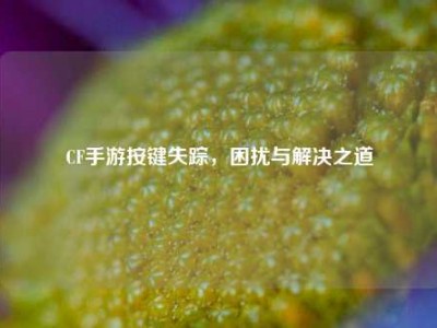 CF手游按键失踪，困扰与解决之道