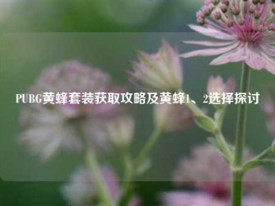 PUBG黄蜂套装获取攻略及黄蜂1、2选择探讨