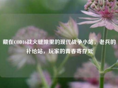 藏在COD16战火缝隙里的现代战争小站，老兵的补给站，玩家的青春寄存处