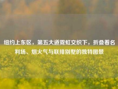 纽约上东区，第五大道霓虹交织下，折叠着名利场、烟火气与联排别墅的独特图景