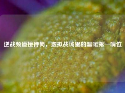 逆战频道接待岗，虚拟战场里的温暖第一哨位