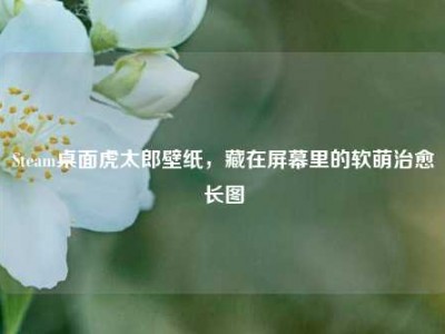 Steam桌面虎太郎壁纸，藏在屏幕里的软萌治愈长图