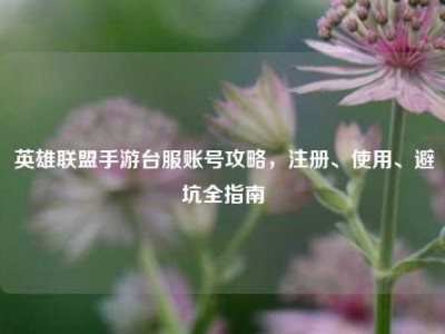 英雄联盟手游台服账号攻略，注册、使用、避坑全指南