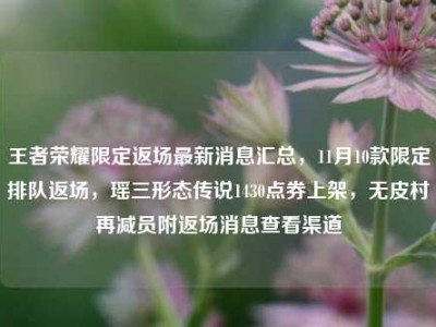 王者荣耀限定返场最新消息汇总，11月10款限定排队返场，瑶三形态传说1430点券上架，无皮村再减员附返场消息查看渠道