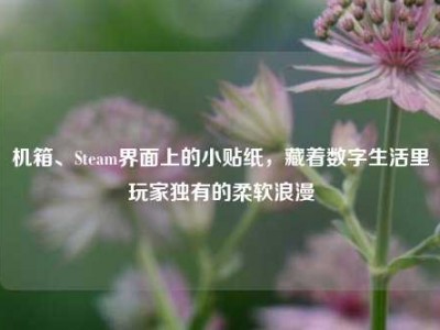 机箱、Steam界面上的小贴纸，藏着数字生活里玩家独有的柔软浪漫