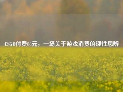 CSGO付费88元，一场关于游戏消费的理性思辨