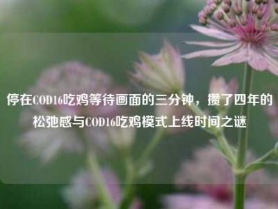 停在COD16吃鸡等待画面的三分钟，攒了四年的松弛感与COD16吃鸡模式上线时间之谜