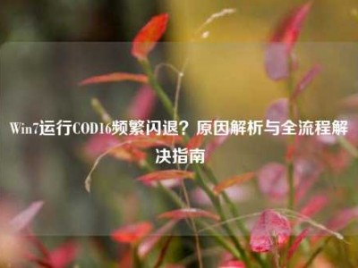 Win7运行COD16频繁闪退？原因解析与全流程解决指南