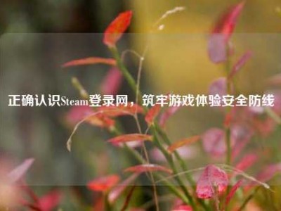 正确认识Steam登录网，筑牢游戏体验安全防线