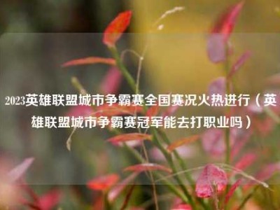 2023英雄联盟城市争霸赛全国赛况火热进行（英雄联盟城市争霸赛冠军能去打职业吗）