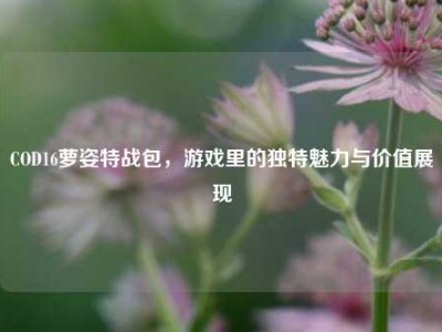 COD16萝姿特战包，游戏里的独特魅力与价值展现