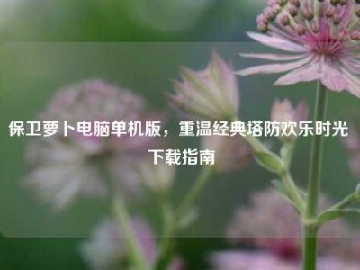 保卫萝卜电脑单机版，重温经典塔防欢乐时光 下载指南
