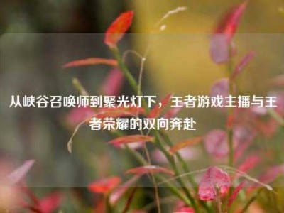 从峡谷召唤师到聚光灯下，王者游戏主播与王者荣耀的双向奔赴