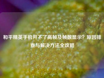 和平精英手机开不了高帧及帧数显示？原因排查与解决方法全攻略