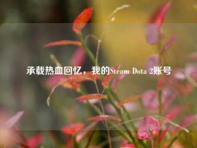 承载热血回忆，我的Steam Dota 2账号
