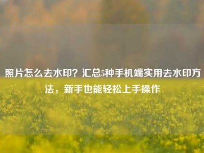 照片怎么去水印？汇总5种手机端实用去水印方法，新手也能轻松上手操作
