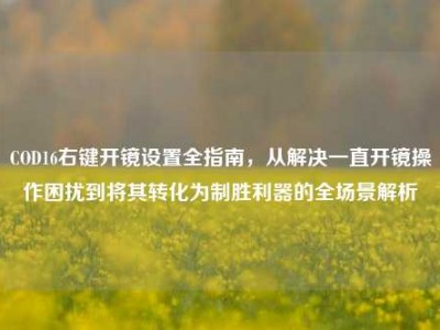 COD16右键开镜设置全指南，从解决一直开镜操作困扰到将其转化为制胜利器的全场景解析