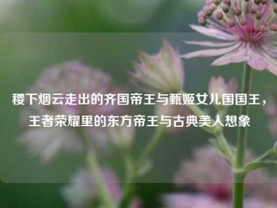 稷下烟云走出的齐国帝王与甄姬女儿国国王，王者荣耀里的东方帝王与古典美人想象