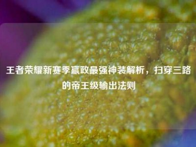 王者荣耀新赛季嬴政最强神装解析，扫穿三路的帝王级输出法则